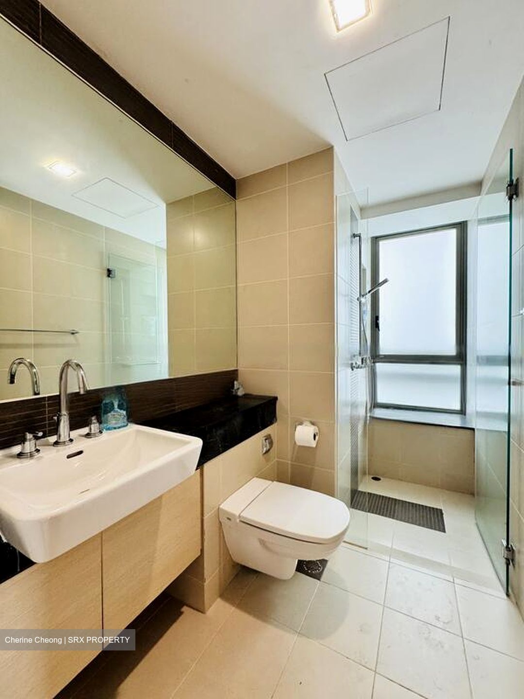 The Berth By The Cove (D4), Condominium #480323801